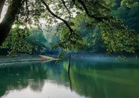 دریاچه چورت