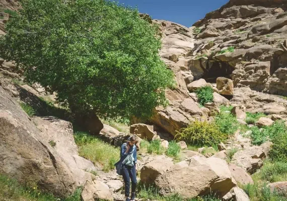 روستای وردیج