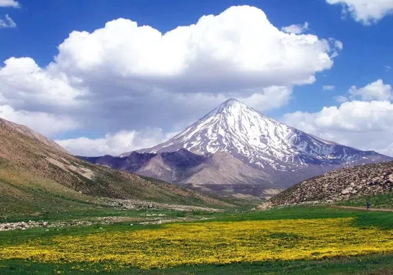 دشت لار