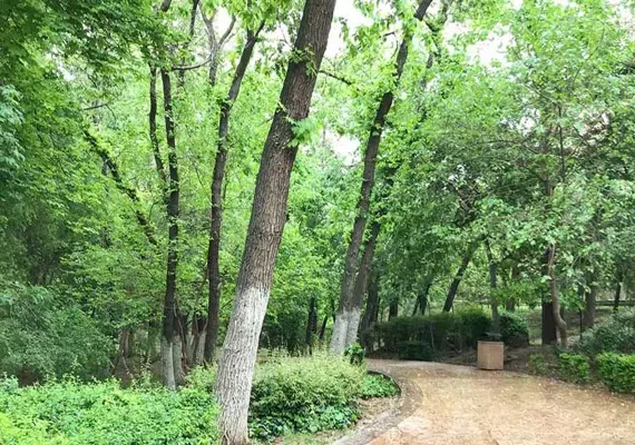 پارک قیطریه