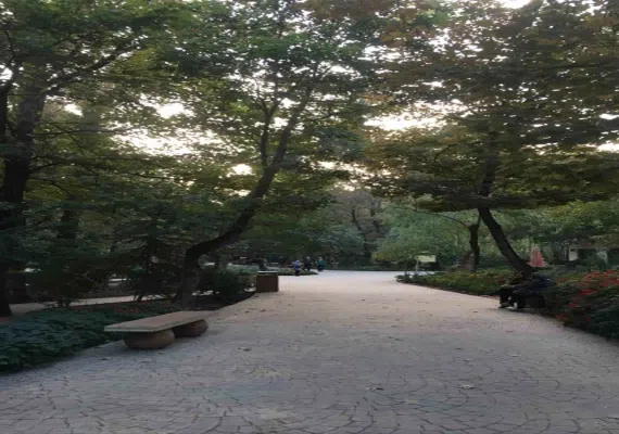 پارک قیطریه
