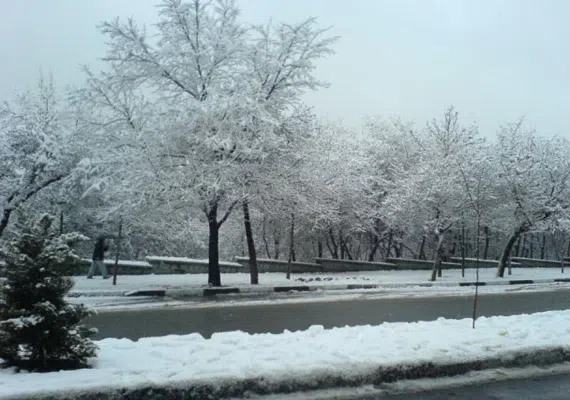 پارک قیطریه