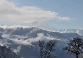 جنگل الیمستان