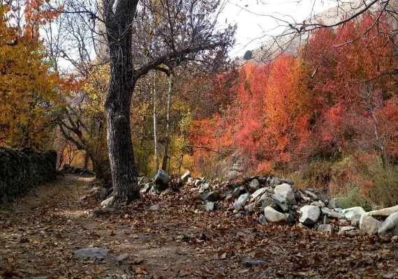 روستای آهار