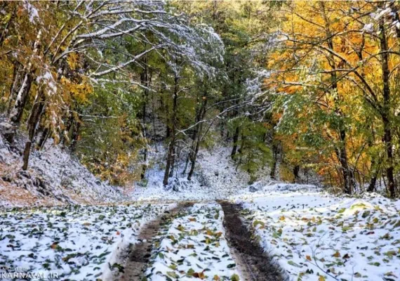 روستای آهار