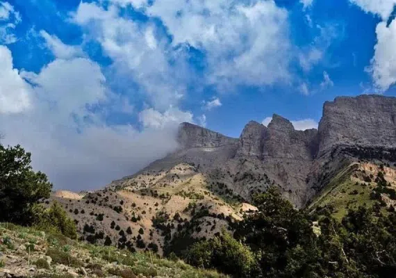 منطقه حفاظت شده ارس سیستان