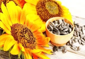 سوغات اردبیل خوشمزه ترین شهر ایران | لیست کامل بهمراه عکس
