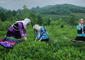 16 سوغات رشت که باید انهارا بشناسید! متن + عکس